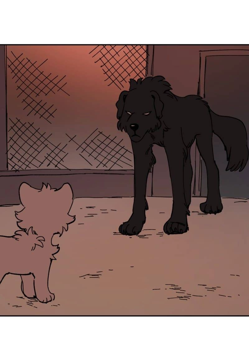 Lumine Chapter 113 - 34