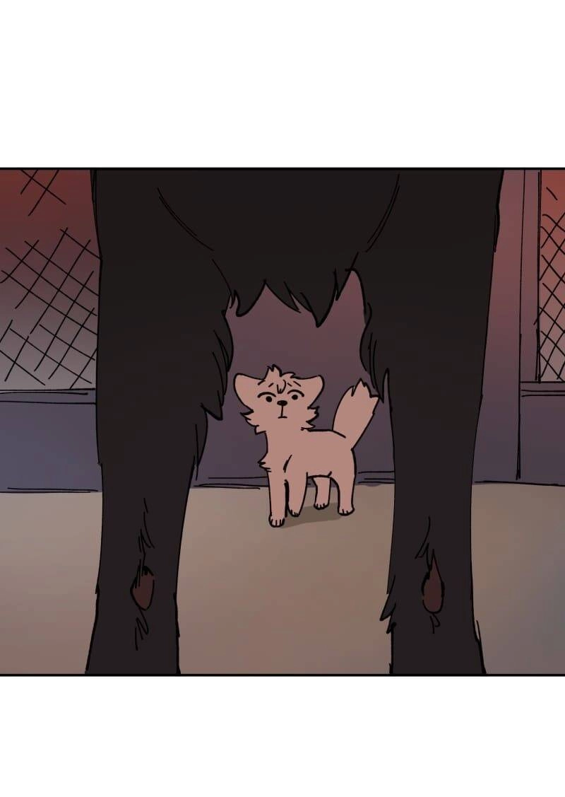 Lumine Chapter 113 - 35