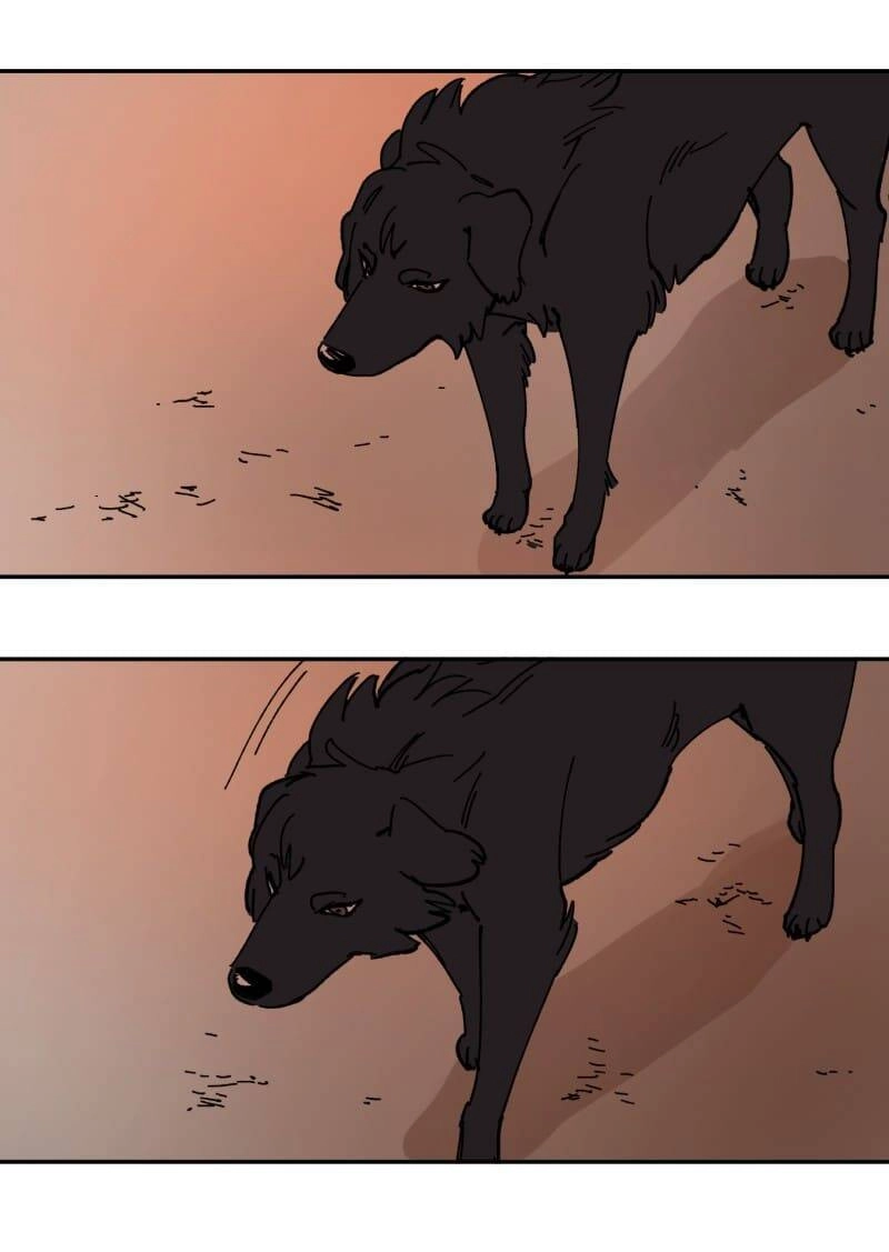 Lumine Chapter 113 - 36