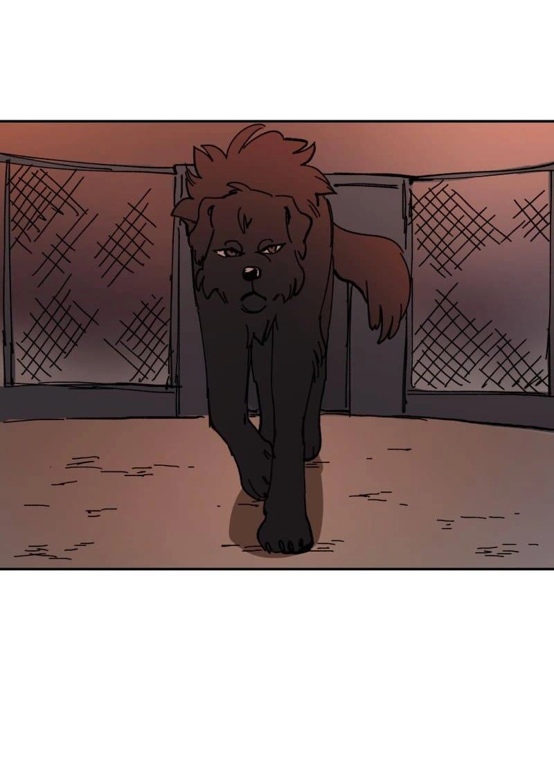 Lumine Chapter 113 - 37