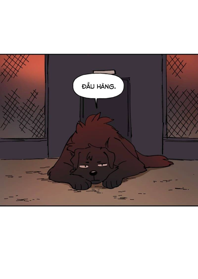 Lumine Chapter 113 - 47