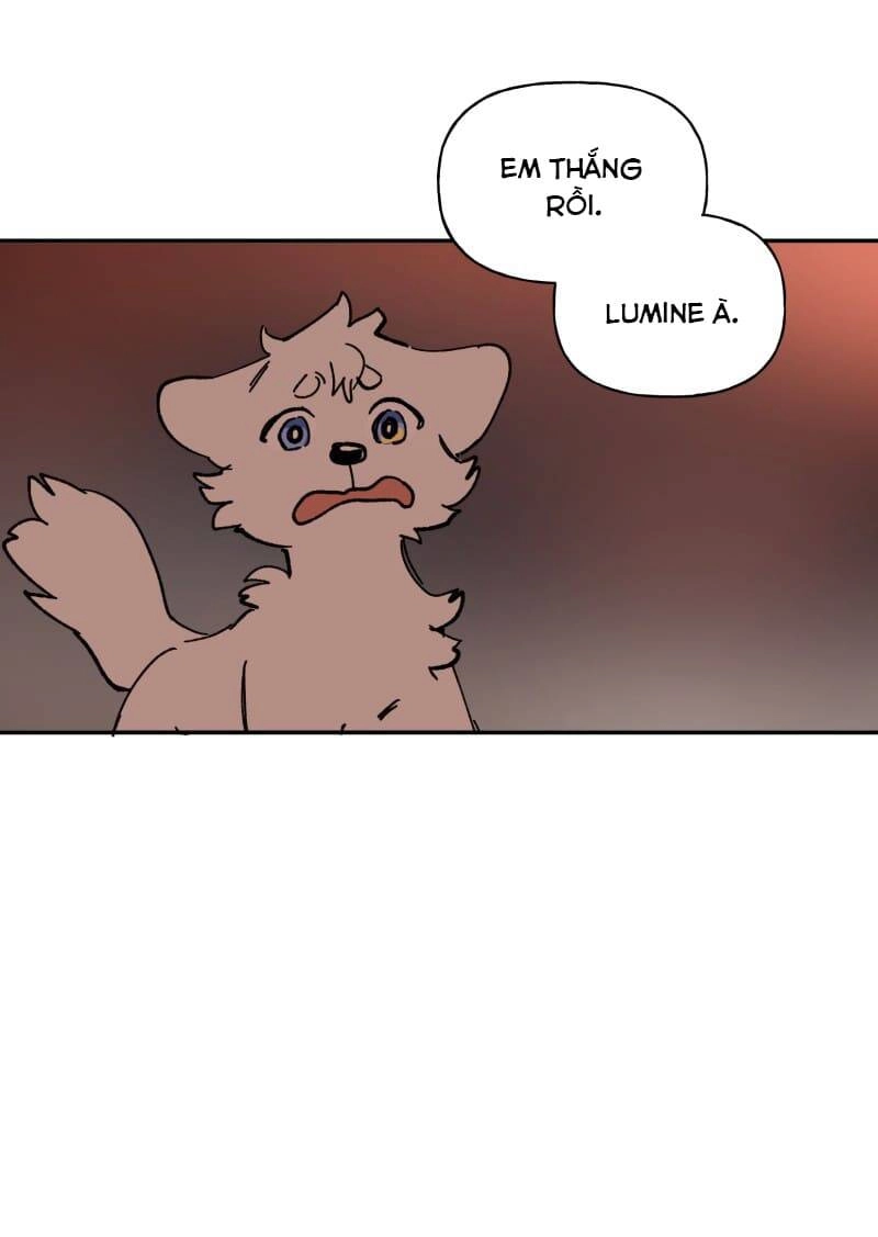 Lumine Chapter 113 - 50