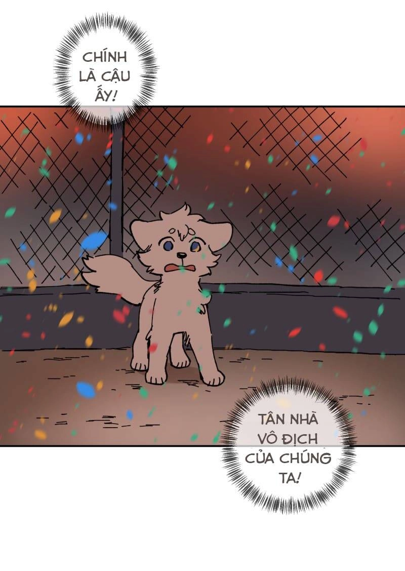 Lumine Chapter 113 - 52