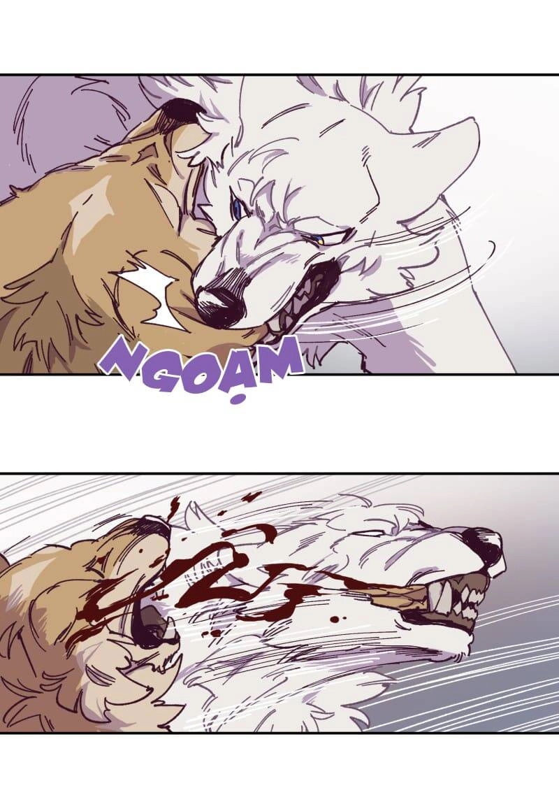 Lumine Chapter 115 - 17