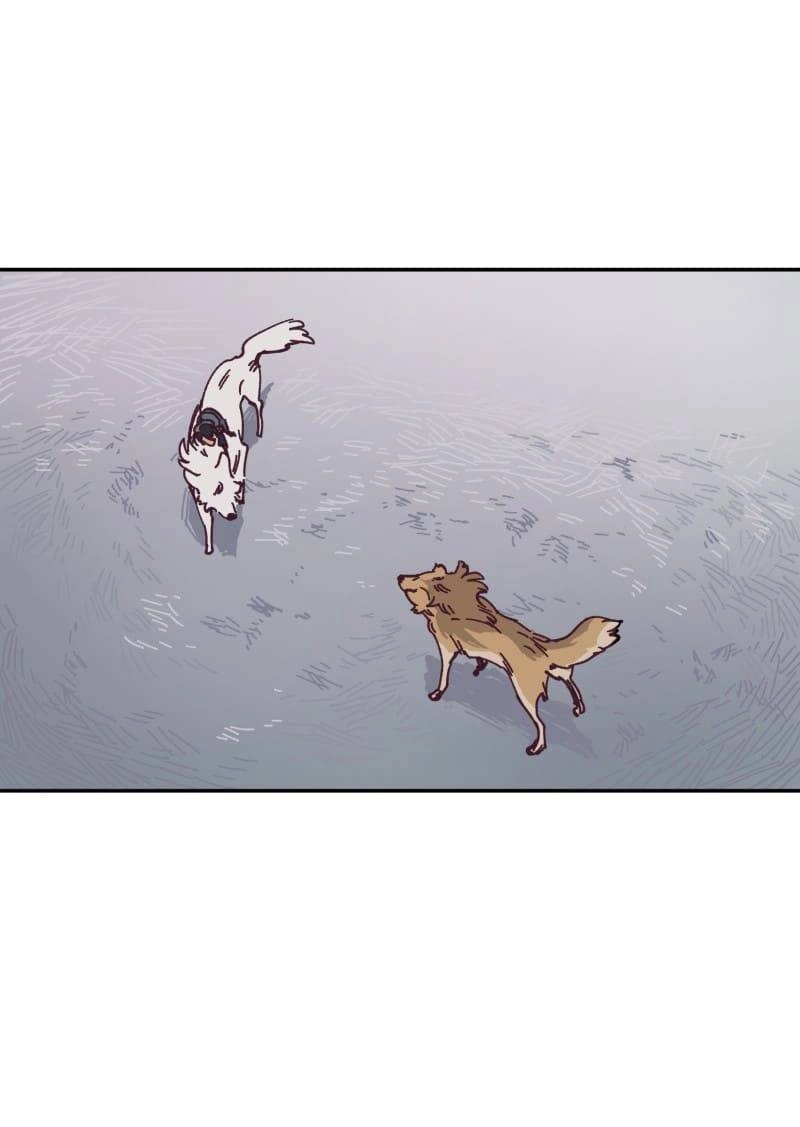 Lumine Chapter 115 - 36