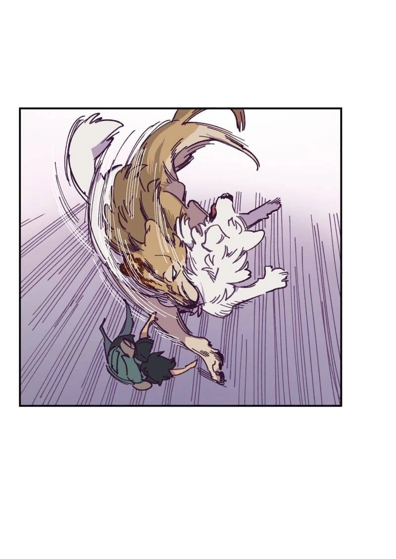 Lumine Chapter 115 - 38