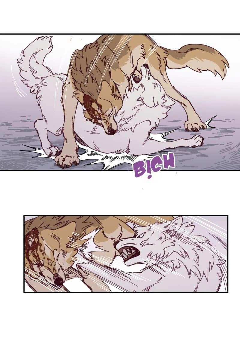 Lumine Chapter 115 - 39