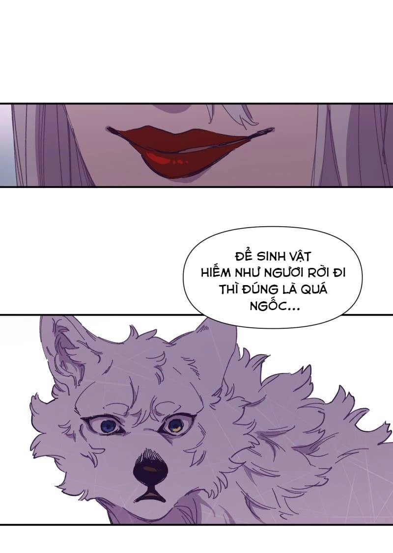 Lumine Chapter 116 - 22