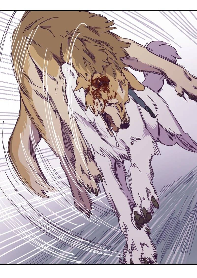 Lumine Chapter 116 - 40