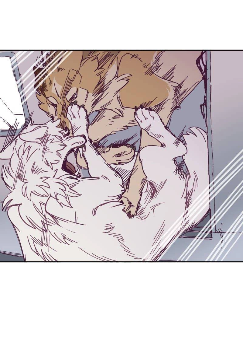 Lumine Chapter 119 - 3