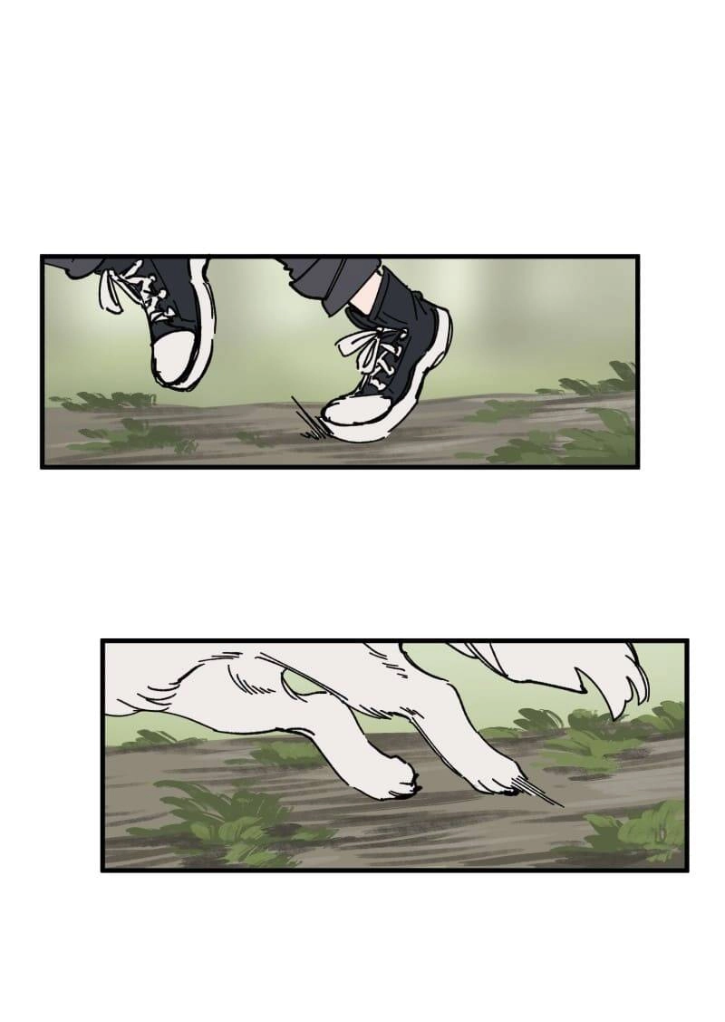 Lumine Chapter 127 - 12