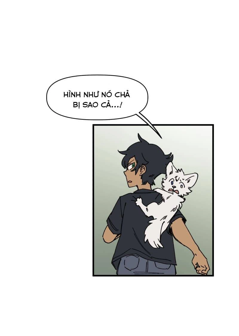 Lumine Chapter 127 - 18