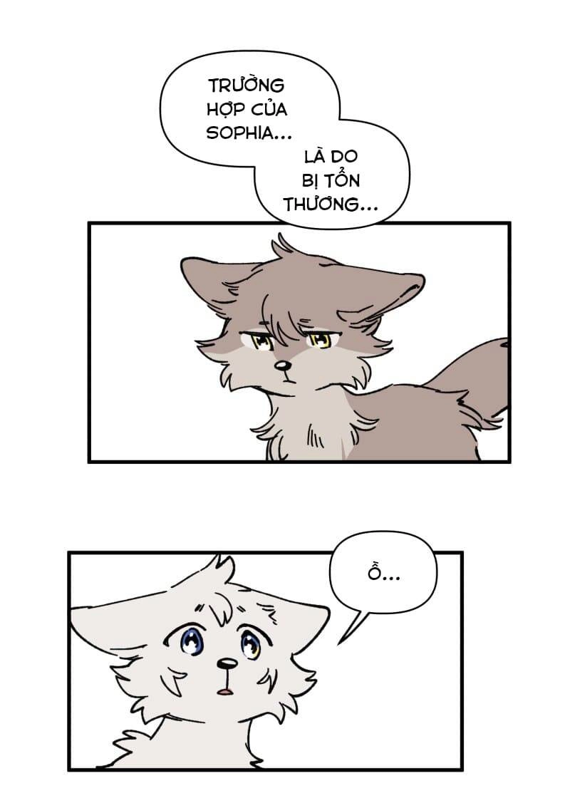 Lumine Chapter 129 - 5