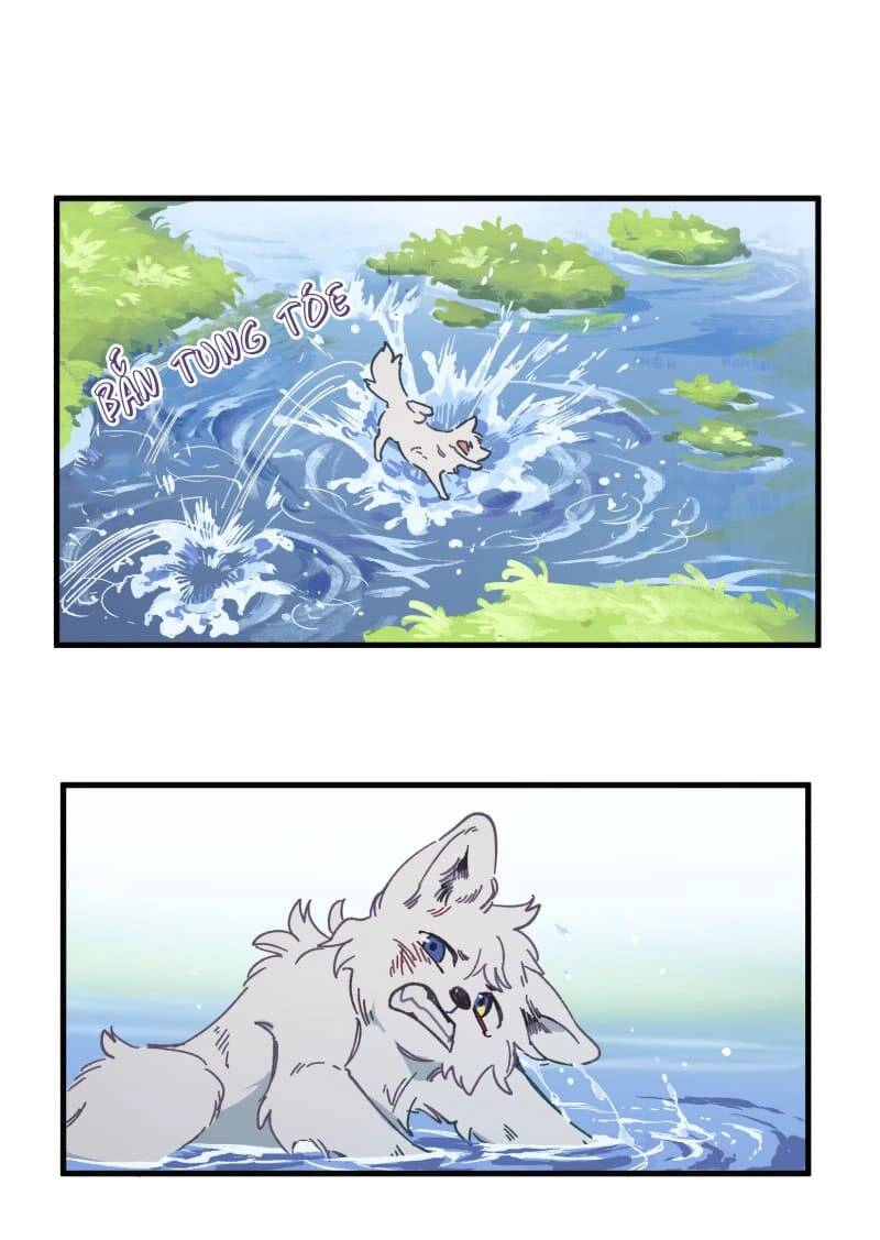 Lumine Chapter 134 - 15