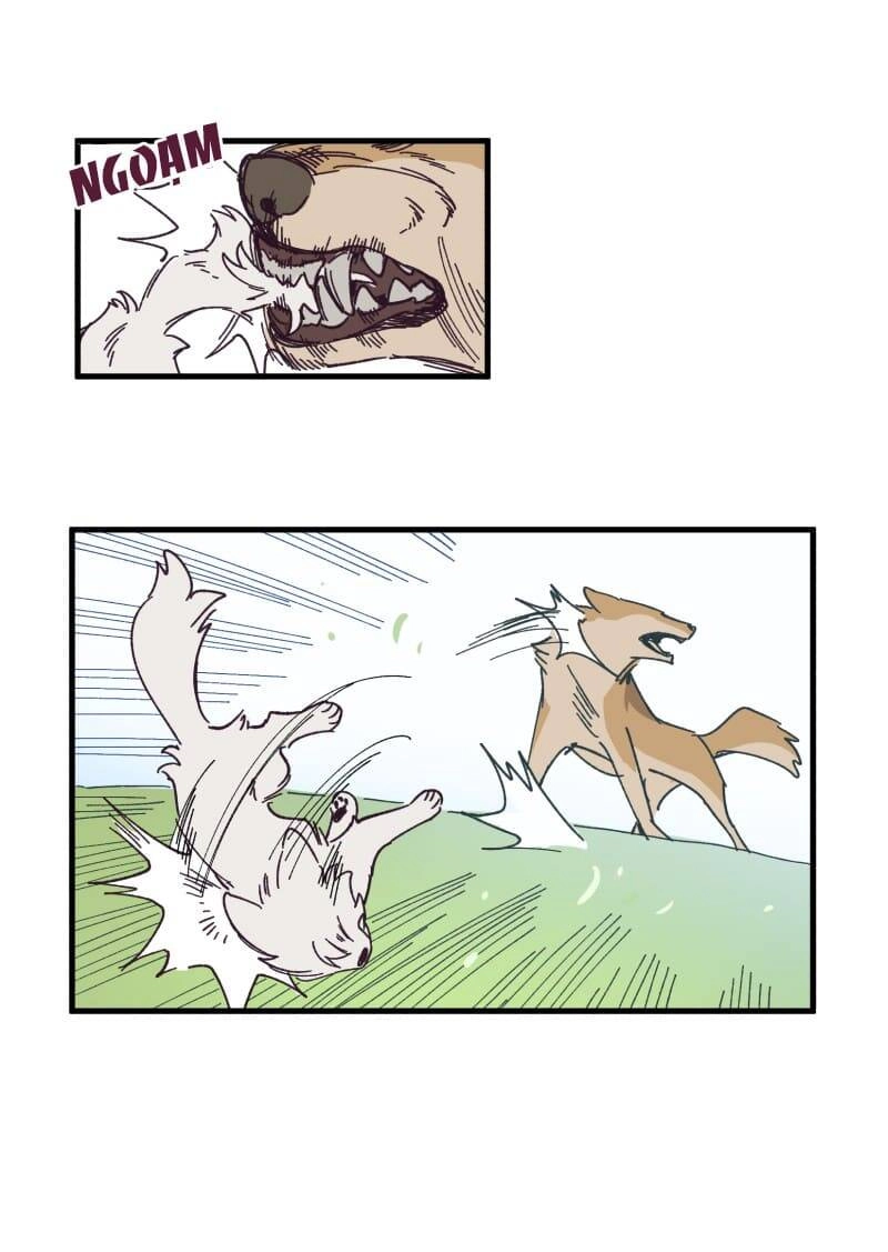 Lumine Chapter 134 - 20