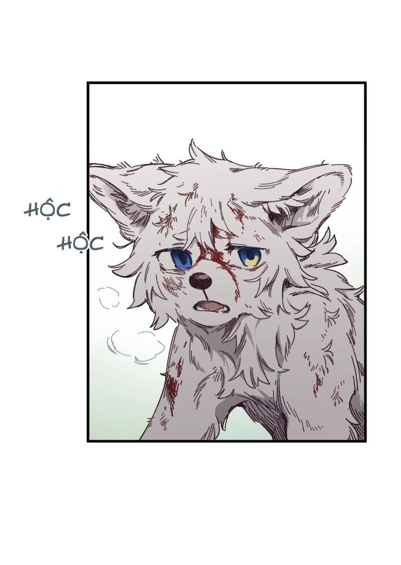 Lumine Chapter 134 - 25