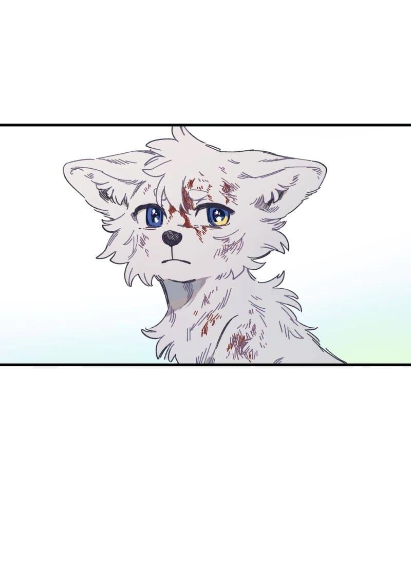 Lumine Chapter 134 - 27