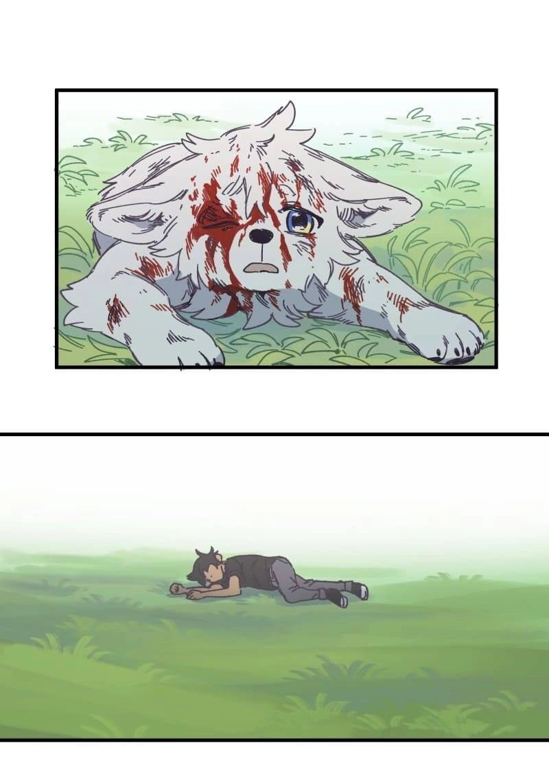 Lumine Chapter 134 - 43