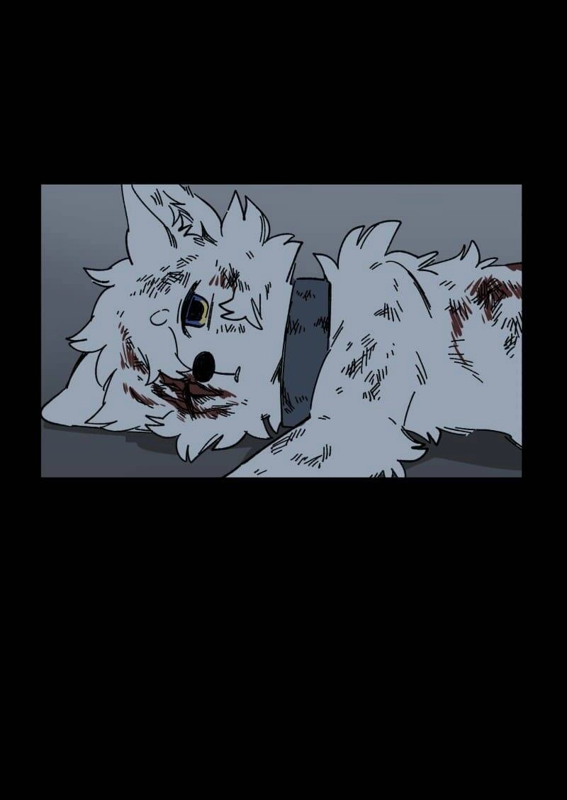 Lumine Chapter 138 - 19