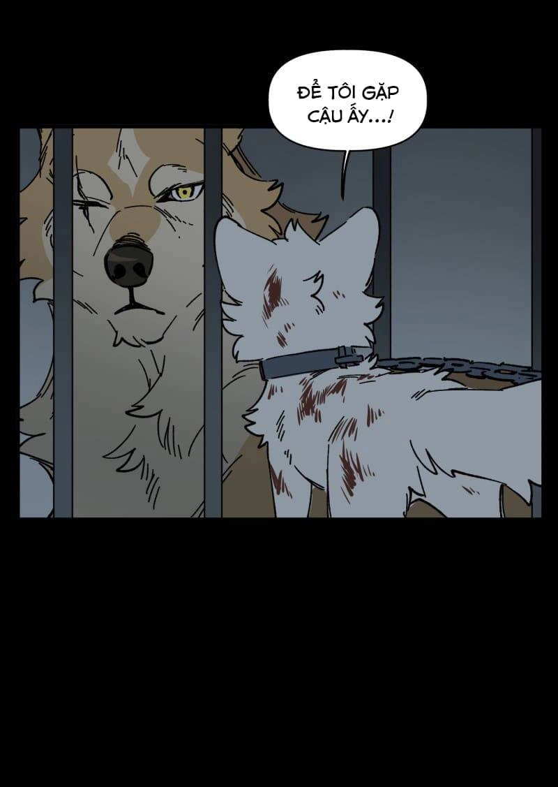 Lumine Chapter 138 - 30