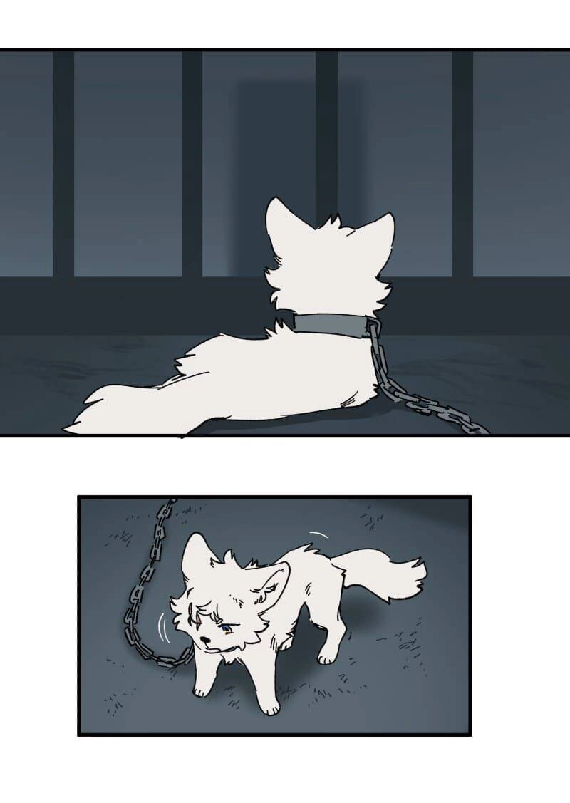 Lumine Chapter 139 - 30