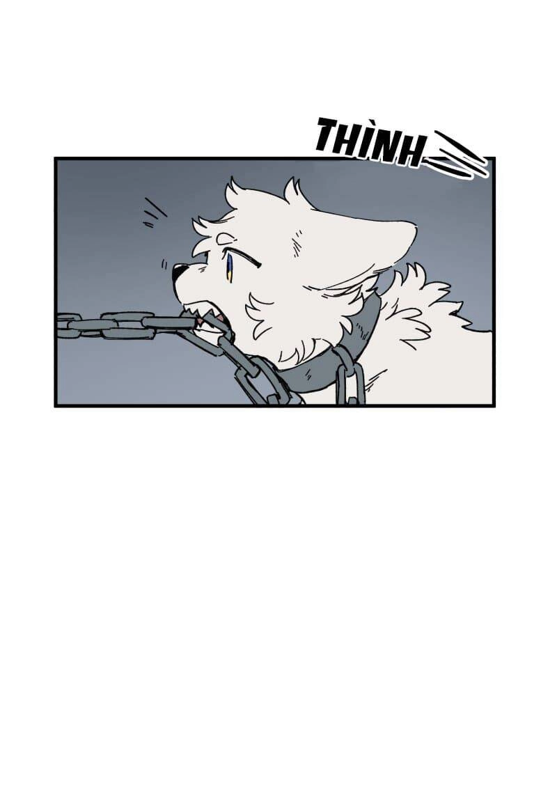 Lumine Chapter 139 - 33