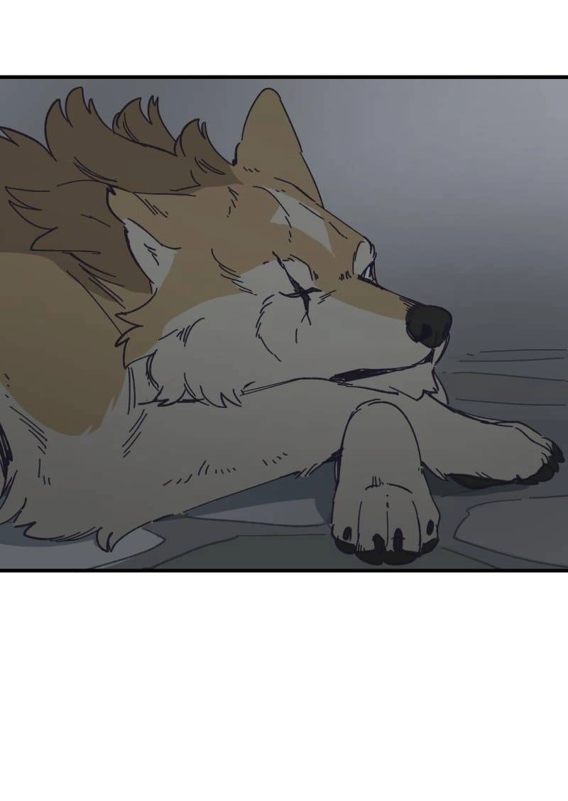 Lumine Chapter 140 - 6