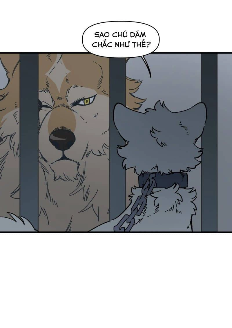 Lumine Chapter 140 - 14