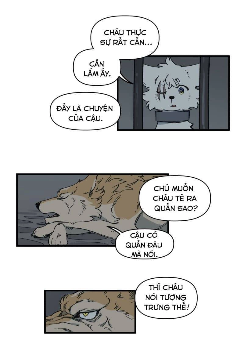 Lumine Chapter 141 - 13