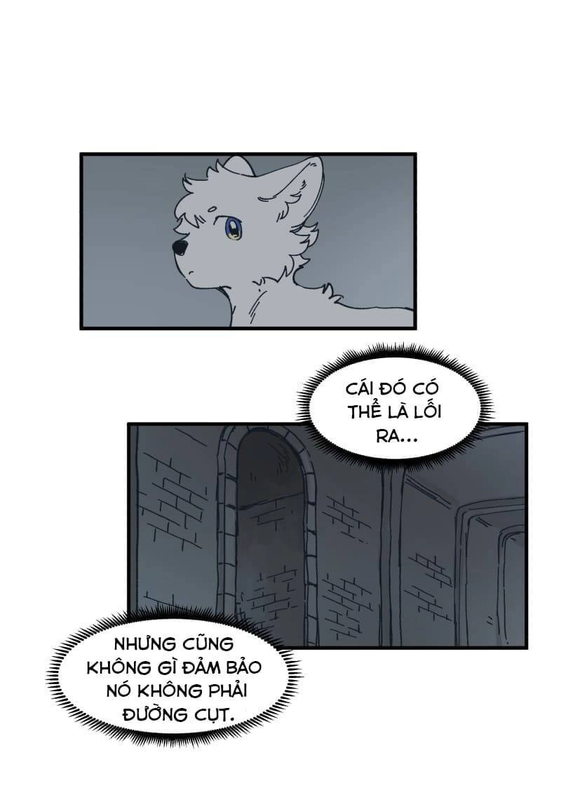 Lumine Chapter 141 - 20