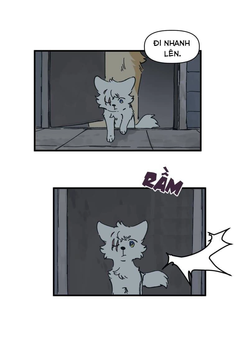 Lumine Chapter 141 - 25