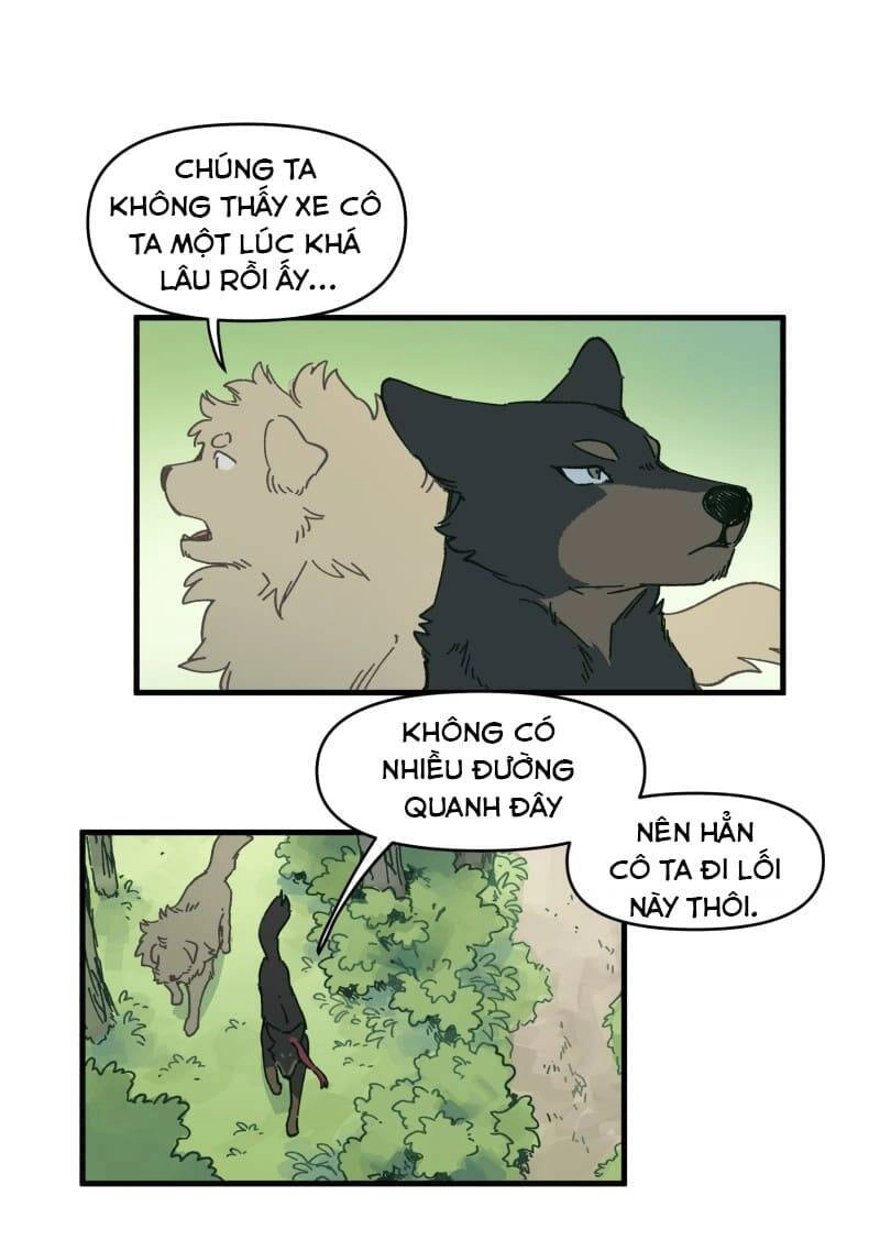 Lumine Chapter 142 - 13