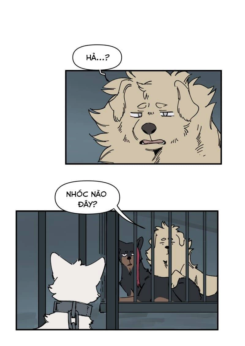 Lumine Chapter 143 - 12