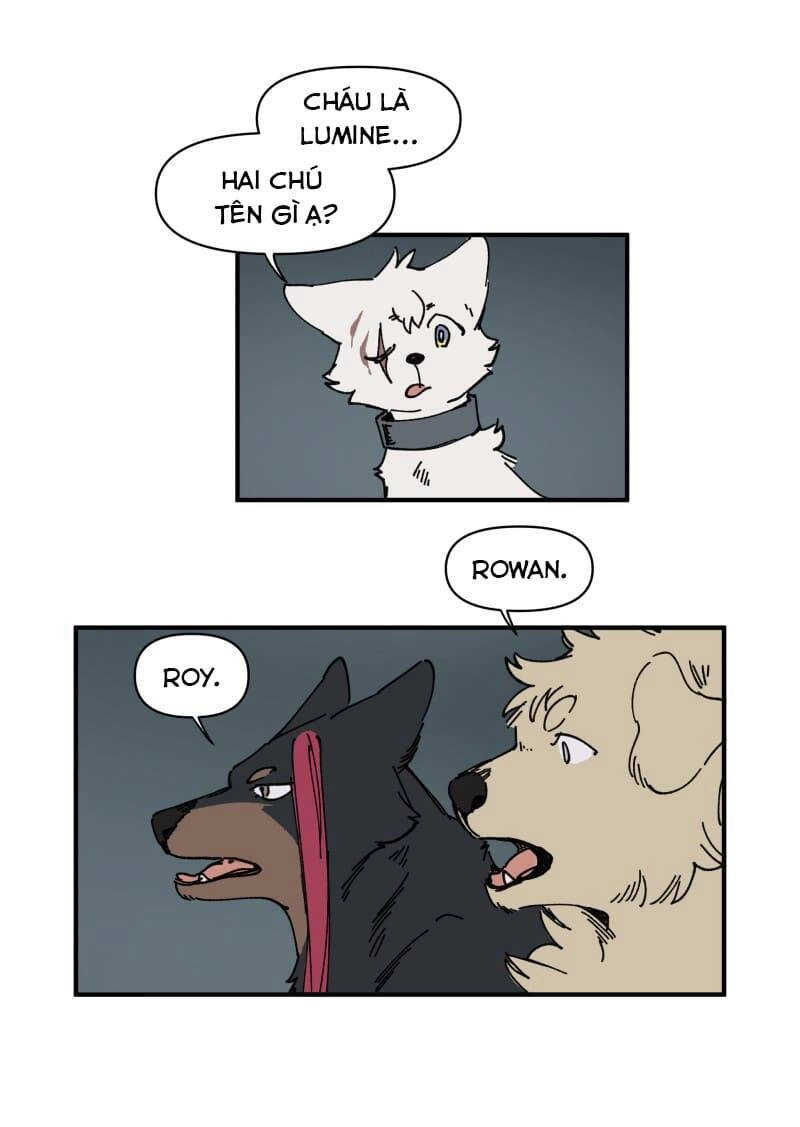 Lumine Chapter 143 - 13