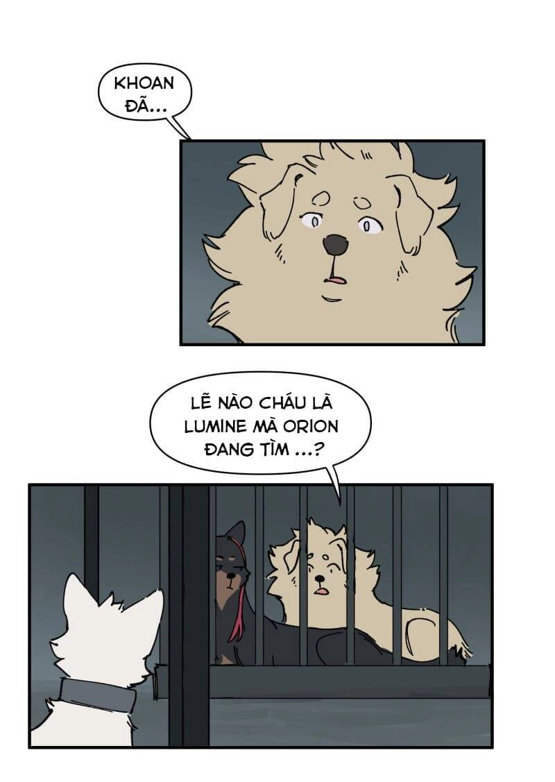 Lumine Chapter 143 - 14