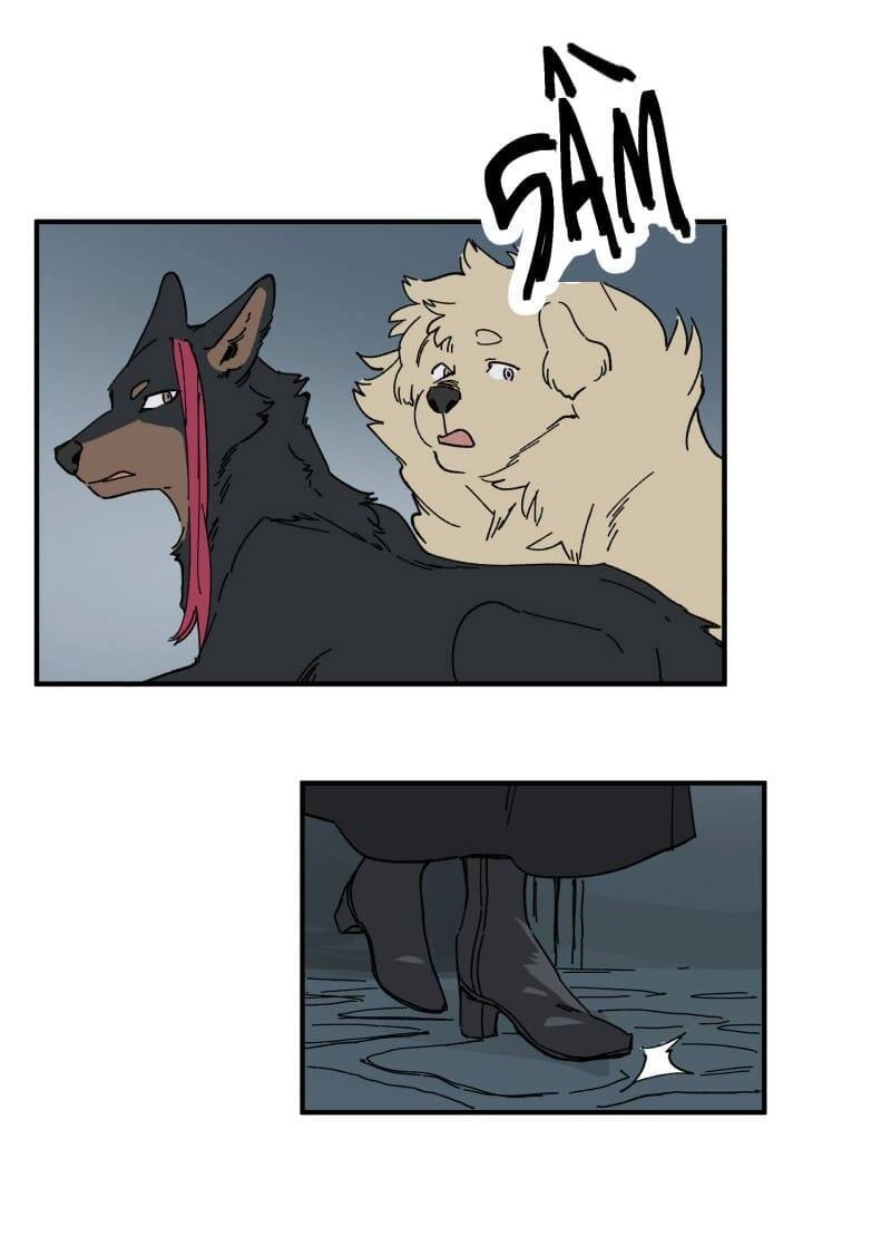 Lumine Chapter 143 - 16