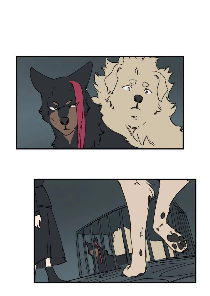 Lumine Chapter 143 - 25