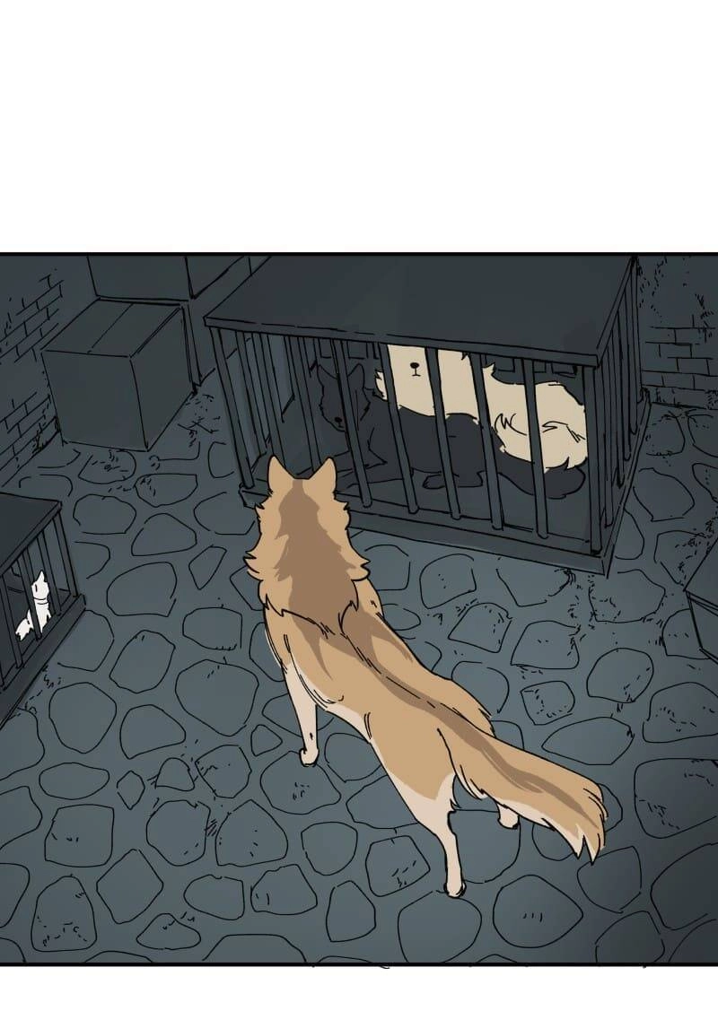 Lumine Chapter 143 - 28