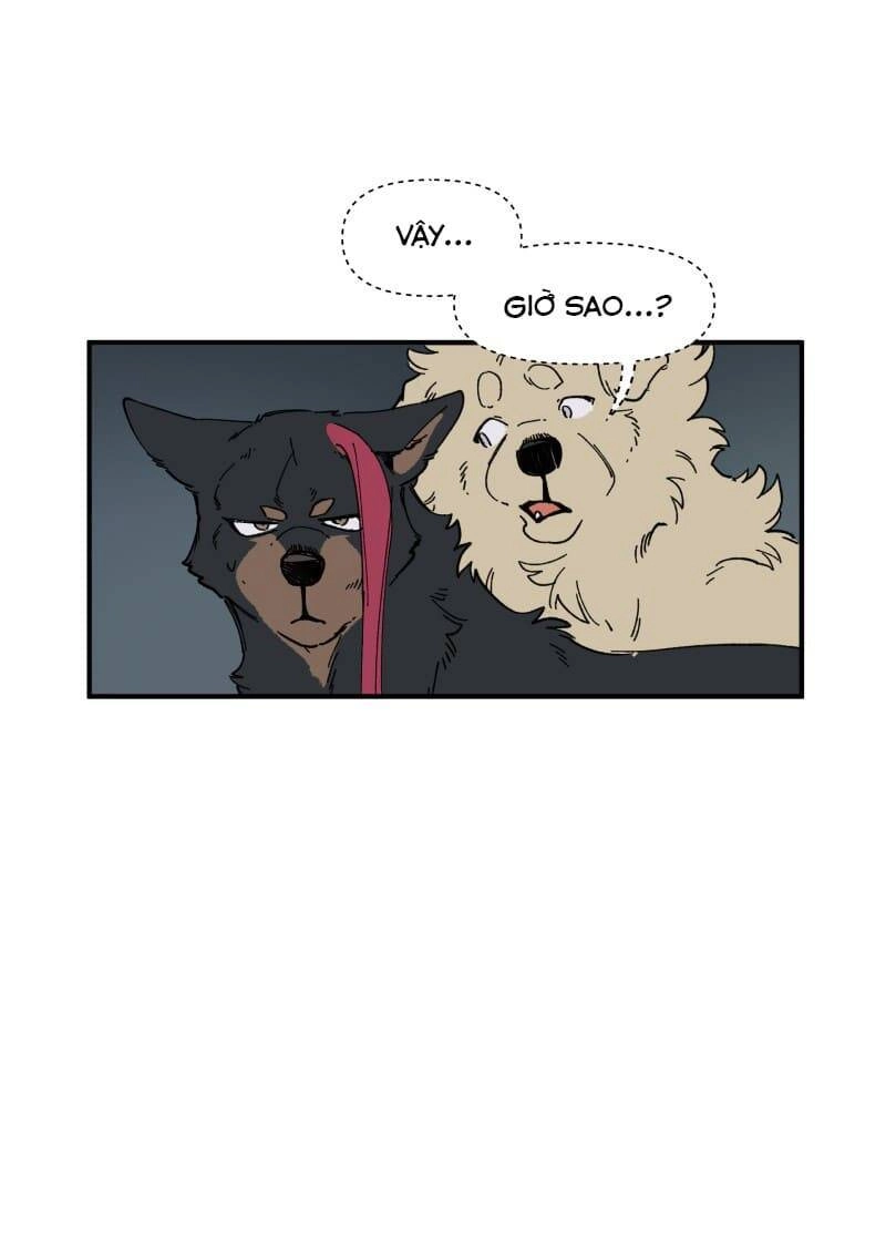 Lumine Chapter 143 - 29