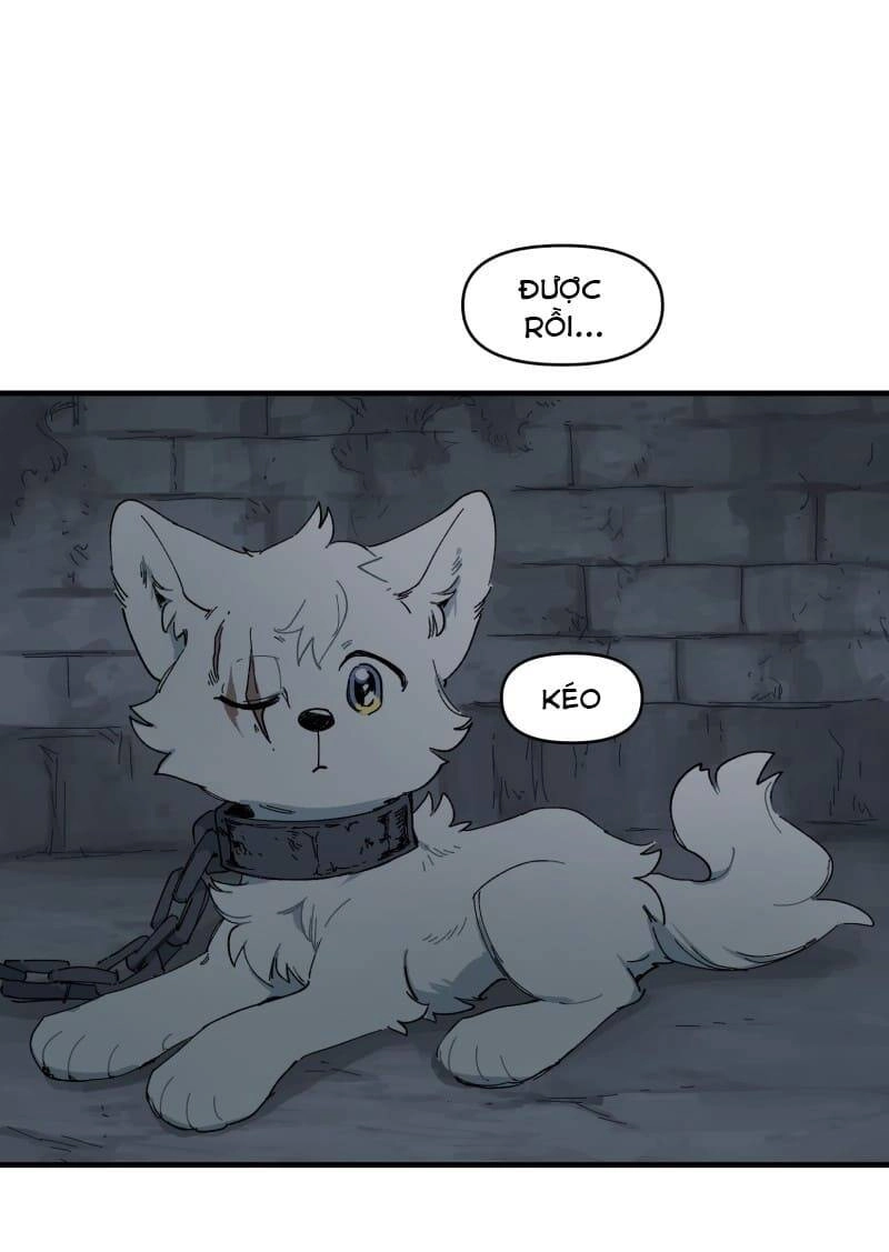 Lumine Chapter 144 - 20