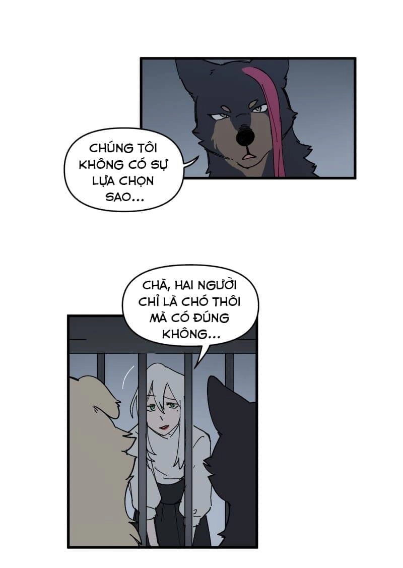 Lumine Chapter 145 - 12