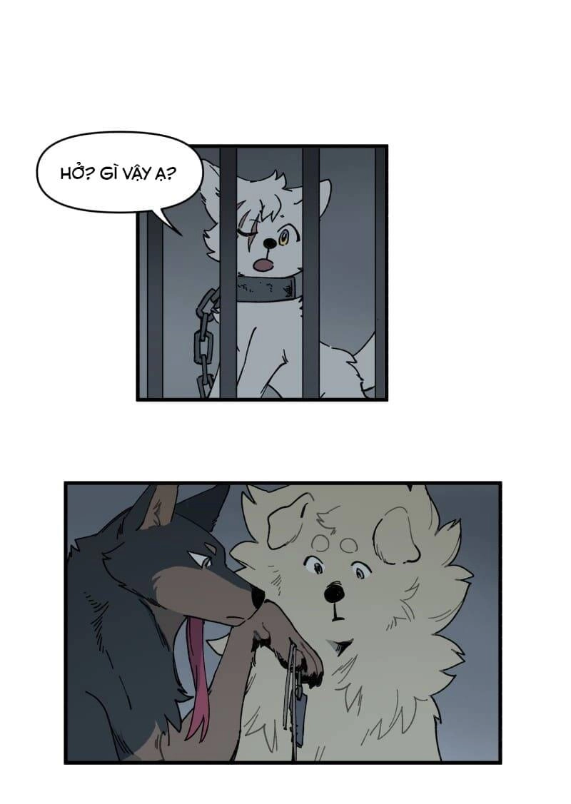 Lumine Chapter 145 - 19