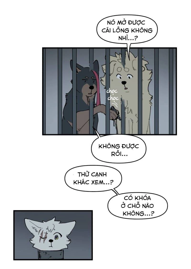 Lumine Chapter 145 - 23