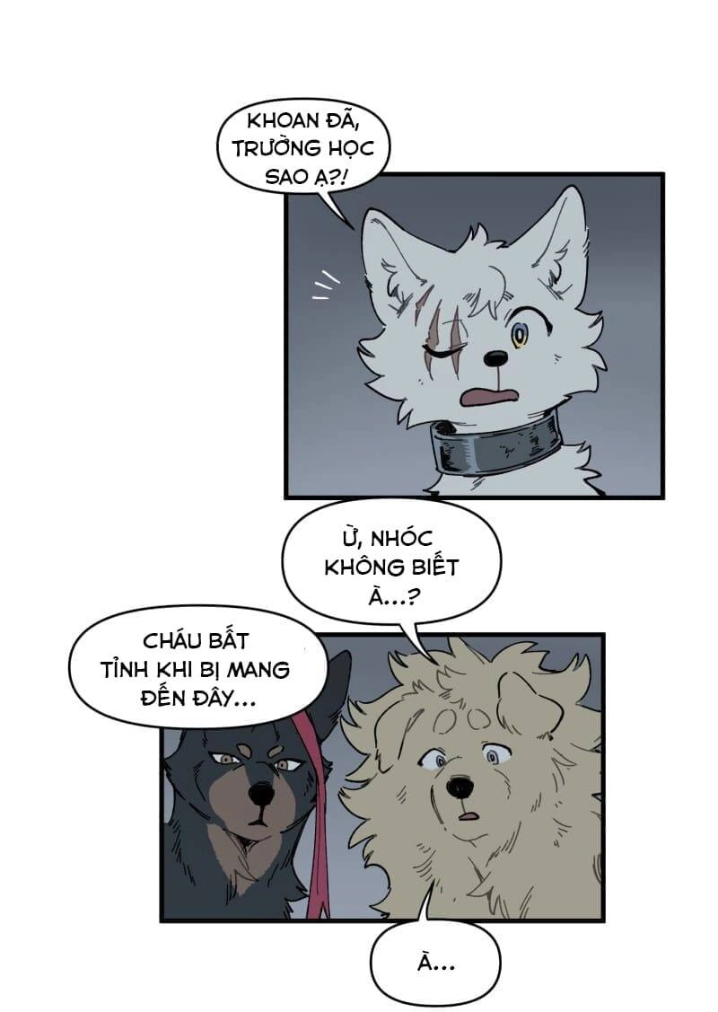 Lumine Chapter 145 - 27