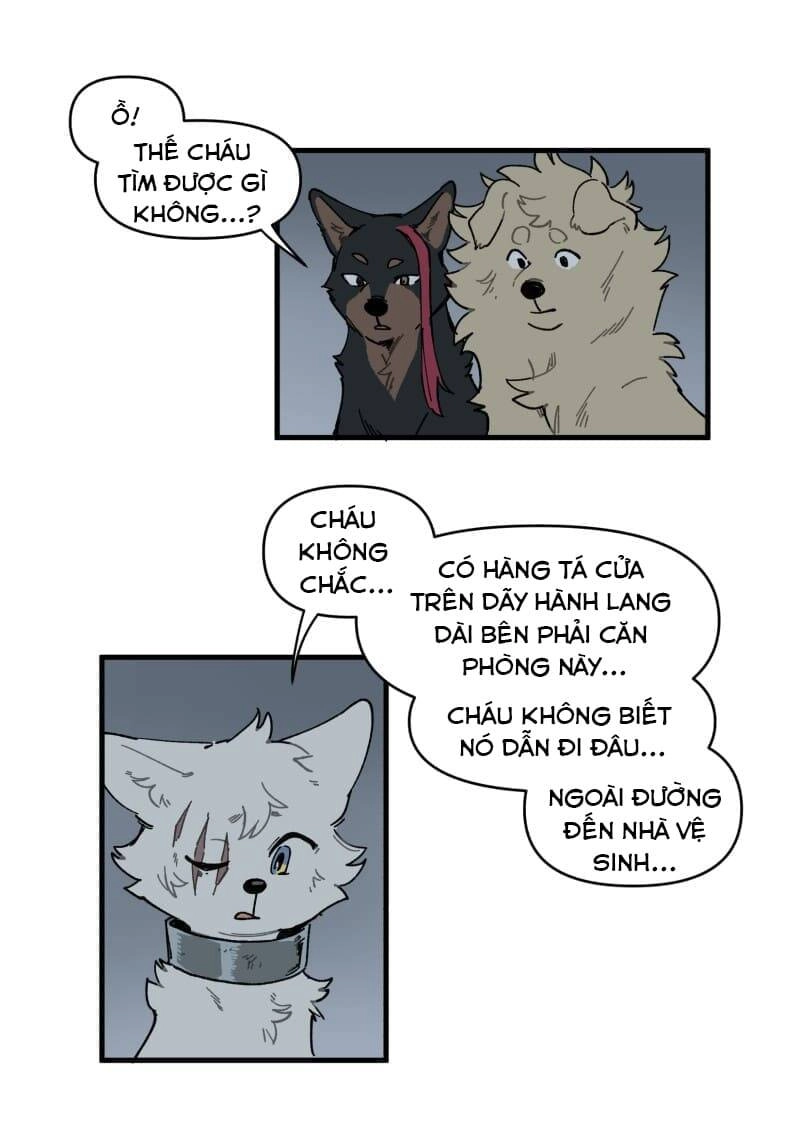 Lumine Chapter 145 - 29