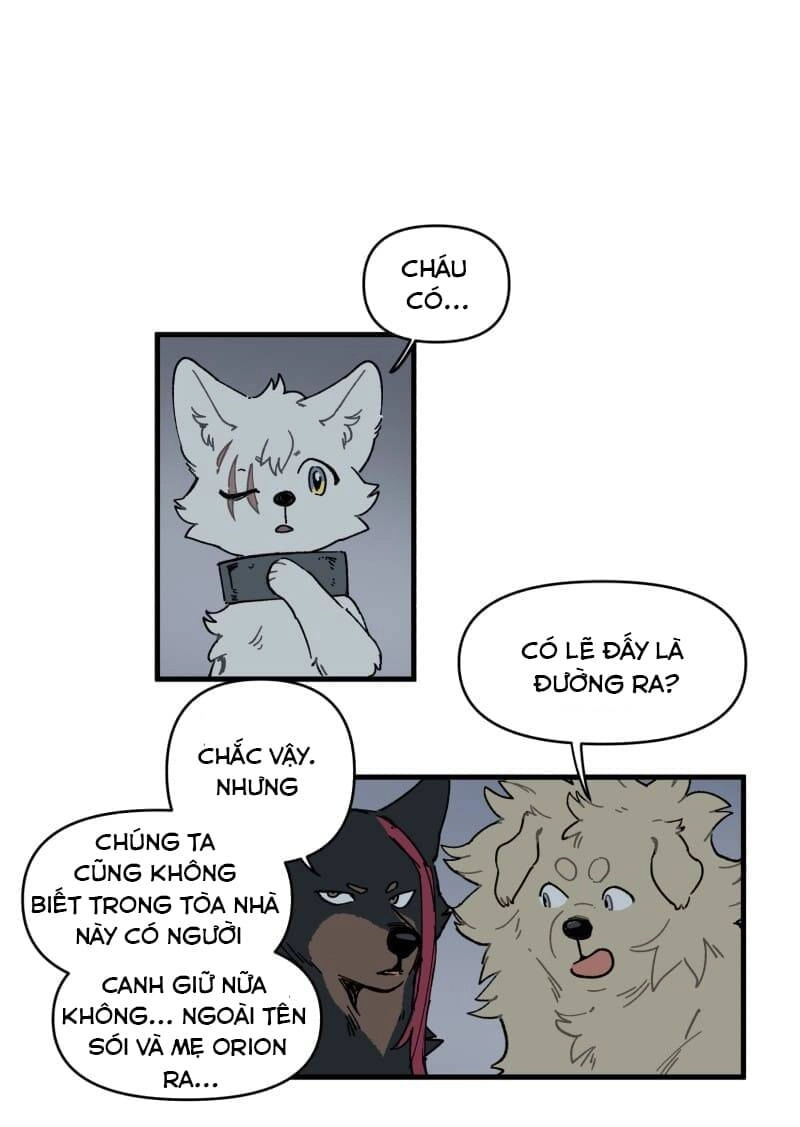 Lumine Chapter 145 - 31