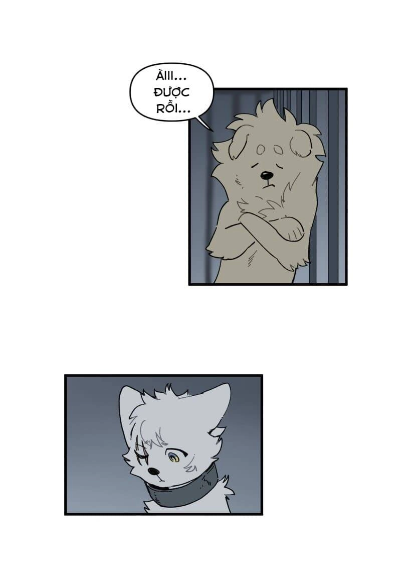 Lumine Chapter 145 - 34