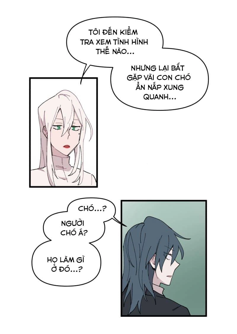 Lumine Chapter 146 - 9