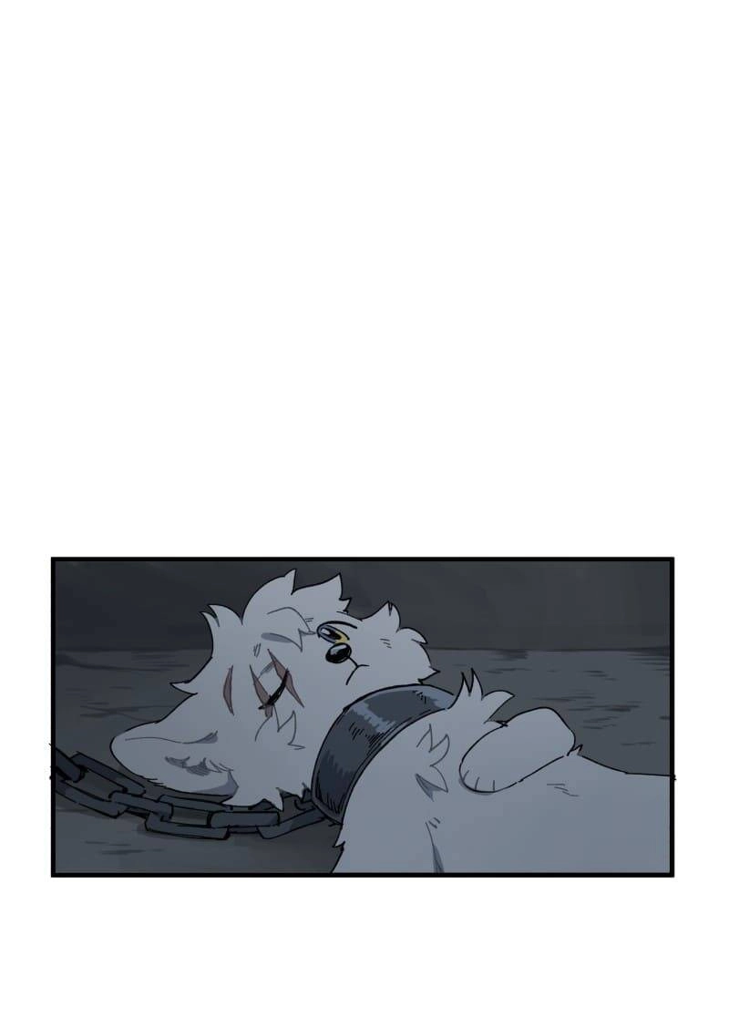 Lumine Chapter 146 - 25