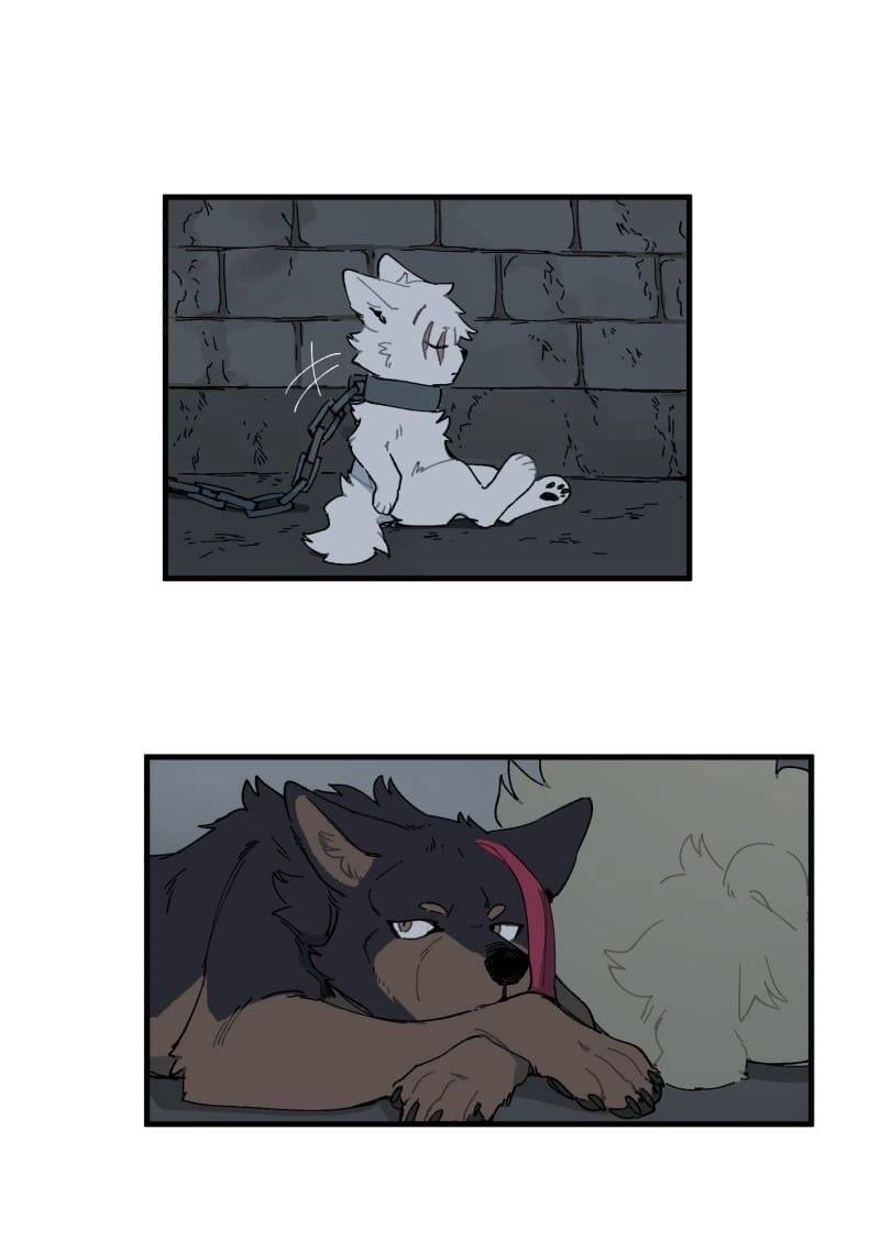 Lumine Chapter 146 - 26